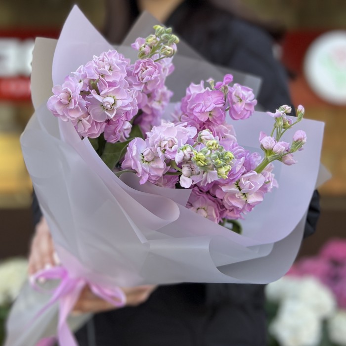 5 сиреневых маттиол в упаковке