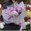 5 сиреневых маттиол в упаковке