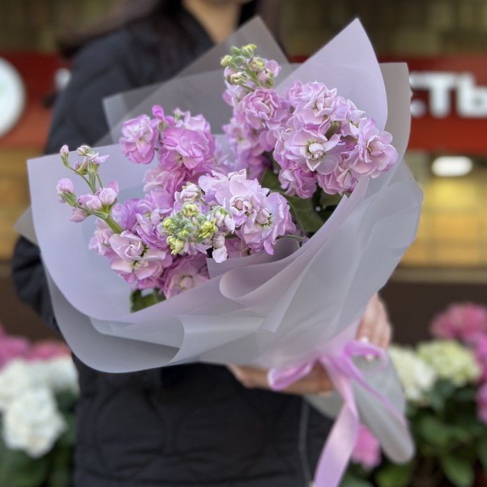 5 сиреневых маттиол в упаковке