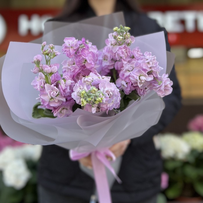 5 сиреневых маттиол в упаковке