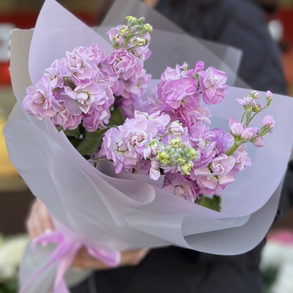 5 сиреневых маттиол в упаковке