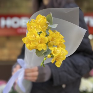 5 желтых фрезий с эвкалиптом