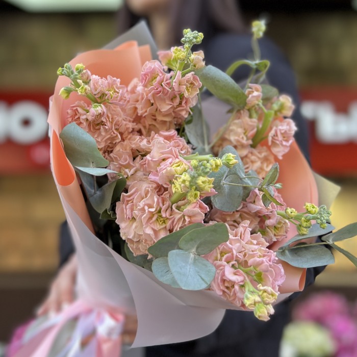 7 ароматных персиковых маттиол с эвкалиптом