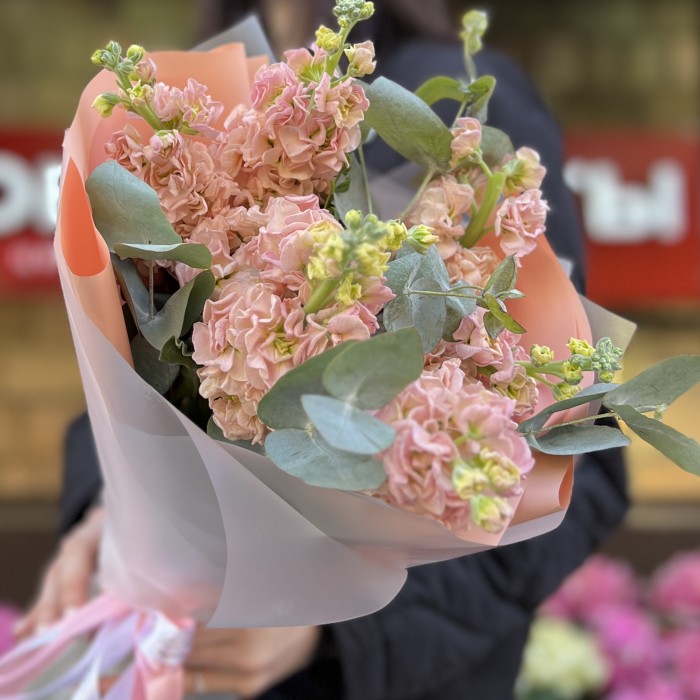 7 ароматных персиковых маттиол с эвкалиптом