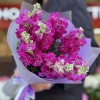 7 малиновых ароматных маттиол