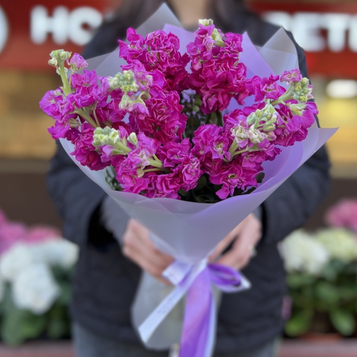 7 малиновых ароматных маттиол