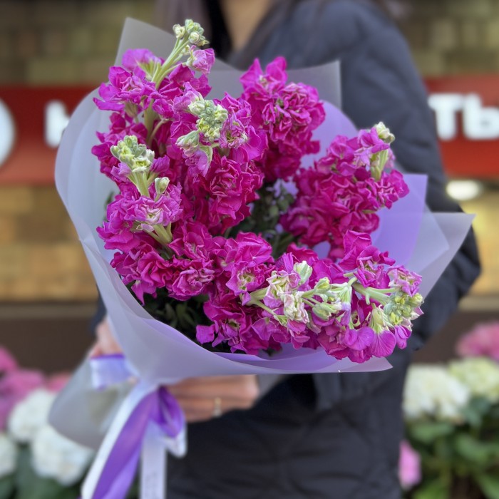 7 малиновых ароматных маттиол