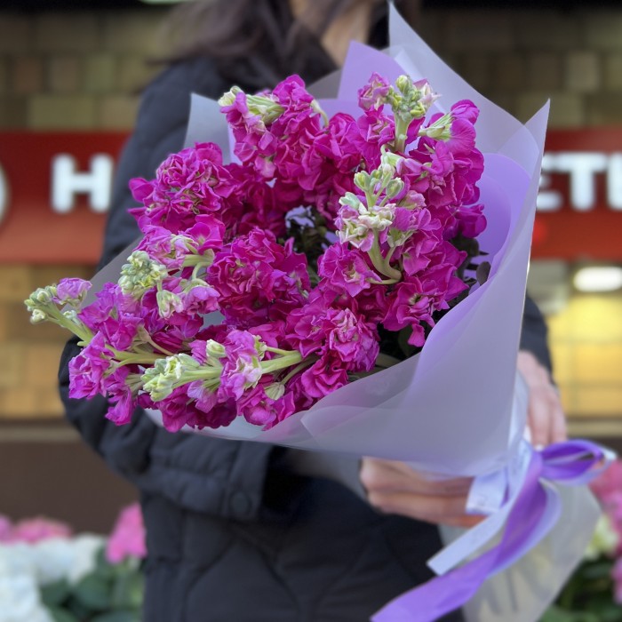 7 малиновых ароматных маттиол