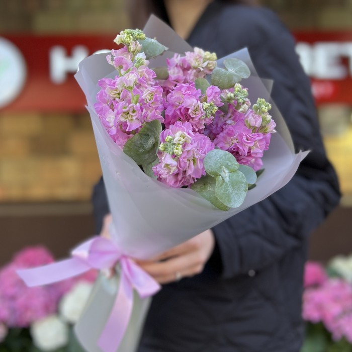 7 розовых ароматных маттиол с эвкалиптом