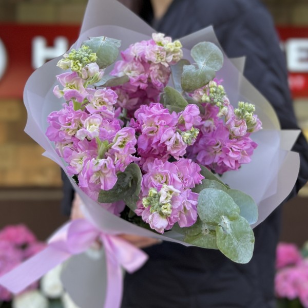 7 розовых ароматных маттиол с эвкалиптом