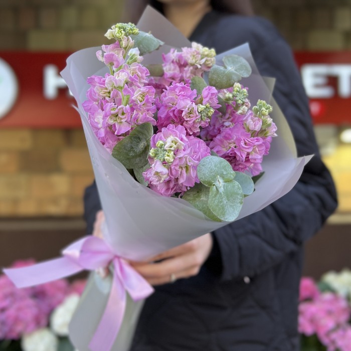 7 розовых ароматных маттиол с эвкалиптом