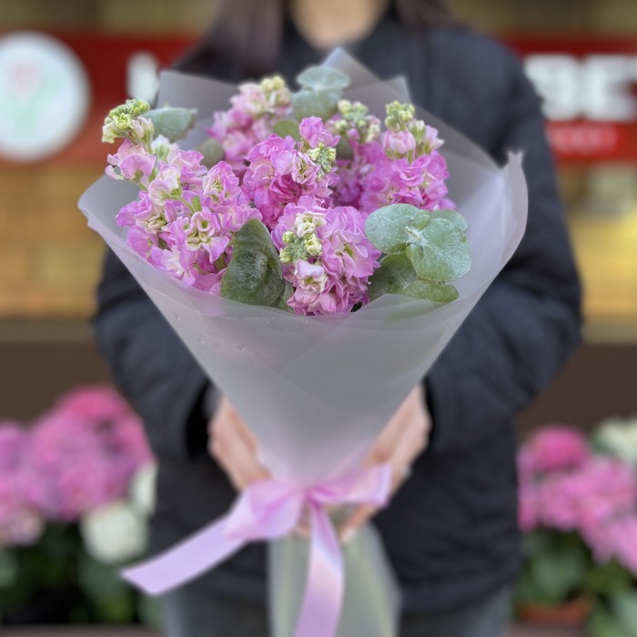 7 розовых ароматных маттиол с эвкалиптом