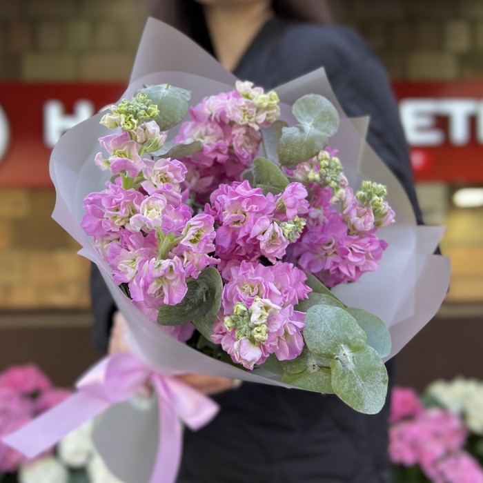 7 розовых ароматных маттиол с эвкалиптом