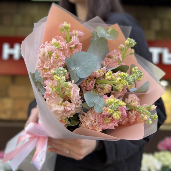 9 персиковых маттиол с эвкалиптом