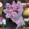 9 розовых ароматных маттиол