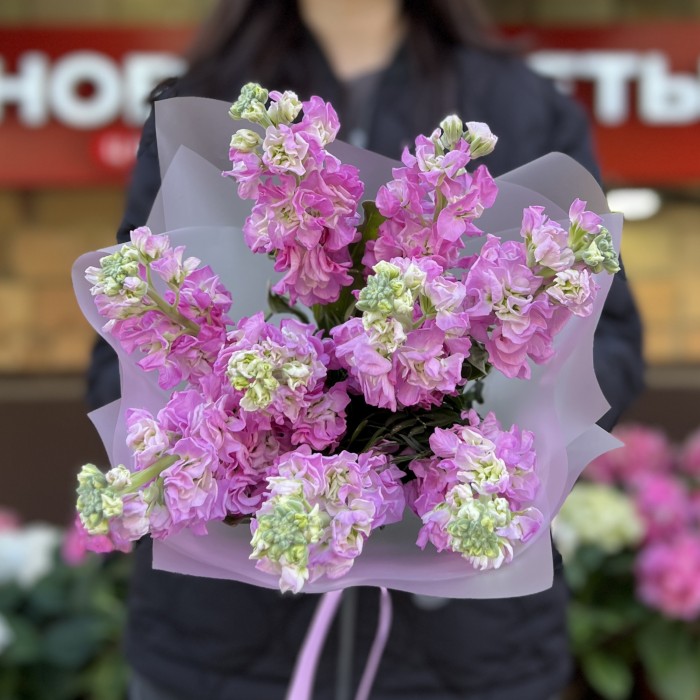 9 розовых ароматных маттиол