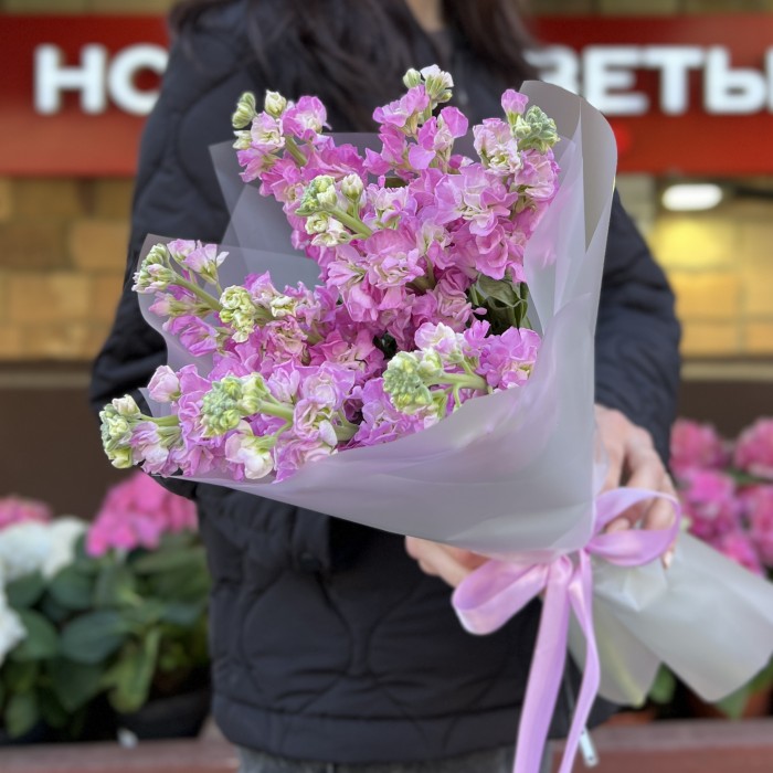 9 розовых ароматных маттиол