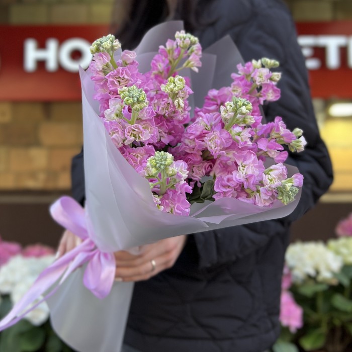 9 розовых ароматных маттиол