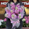 9 розовых ароматных маттиол