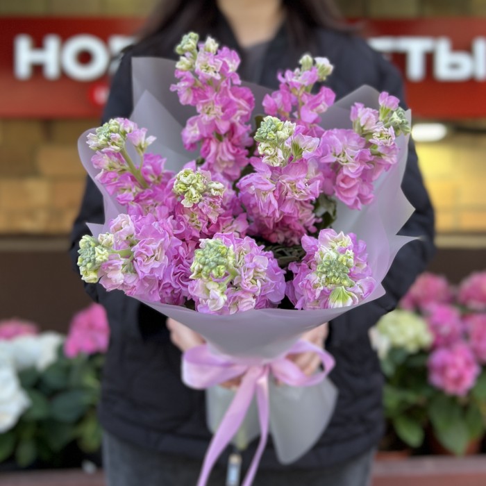 9 розовых ароматных маттиол