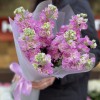 9 розовых ароматных маттиол