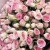 25 кустовых роз Гуд Муд 50 см