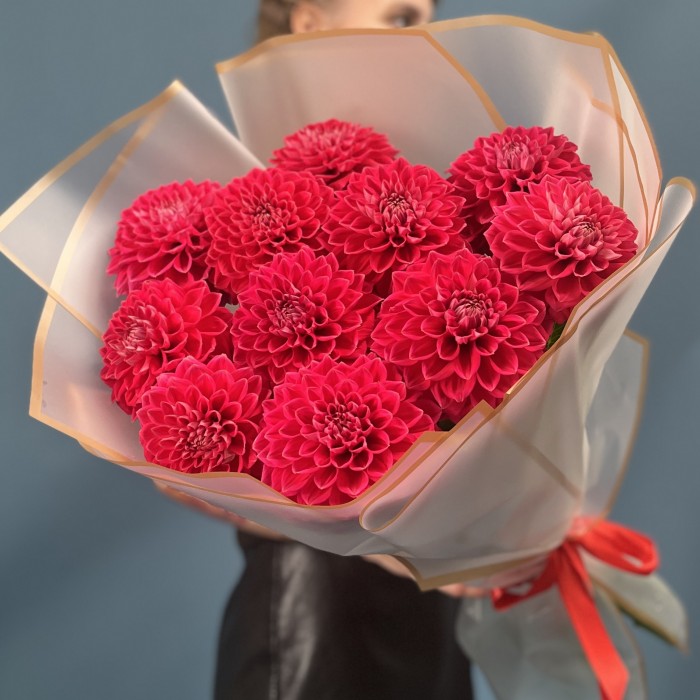 11 пышных красных георгин