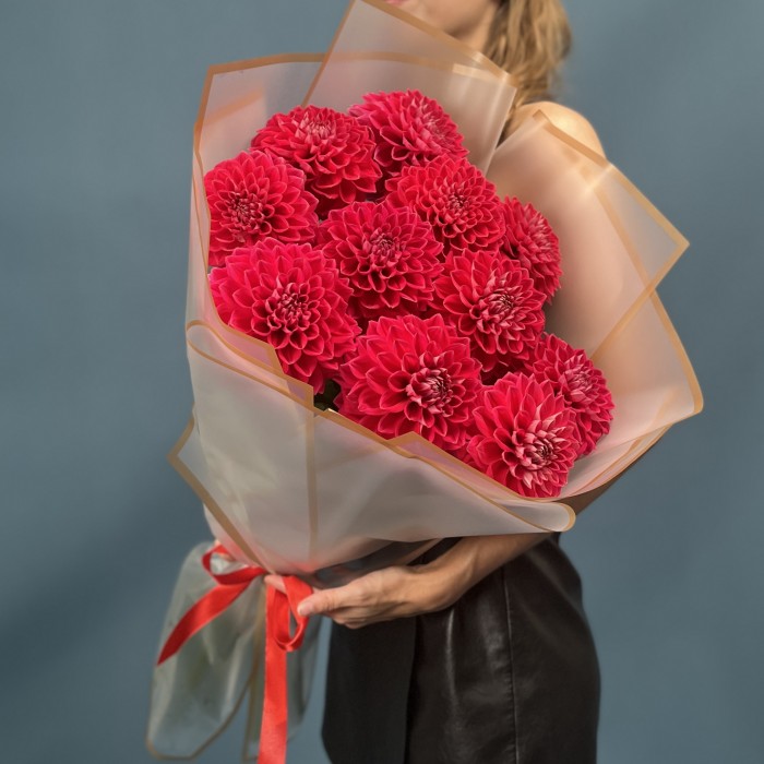 11 пышных красных георгин