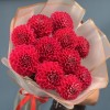 11 пышных красных георгин