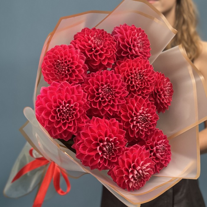 11 пышных красных георгин