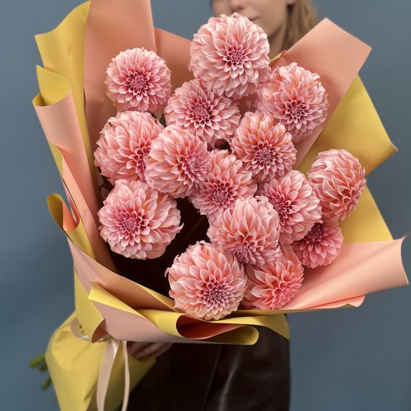 15 лососевых Георгин