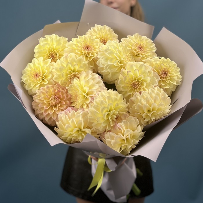 15 желто-розовых георгин