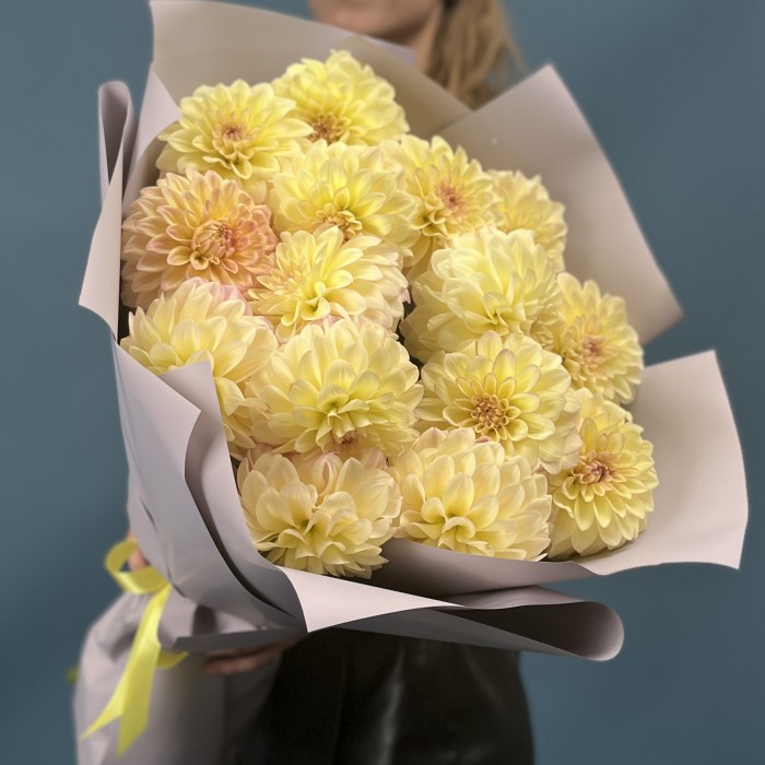 15 желто-розовых георгин