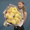 15 желто-розовых георгин