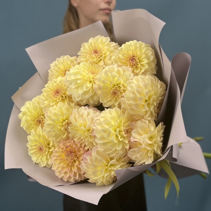 15 желто-розовых георгин