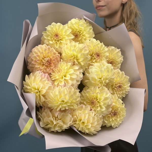 15 желто-розовых георгин