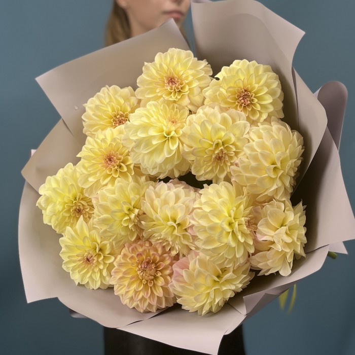 15 желто-розовых георгин