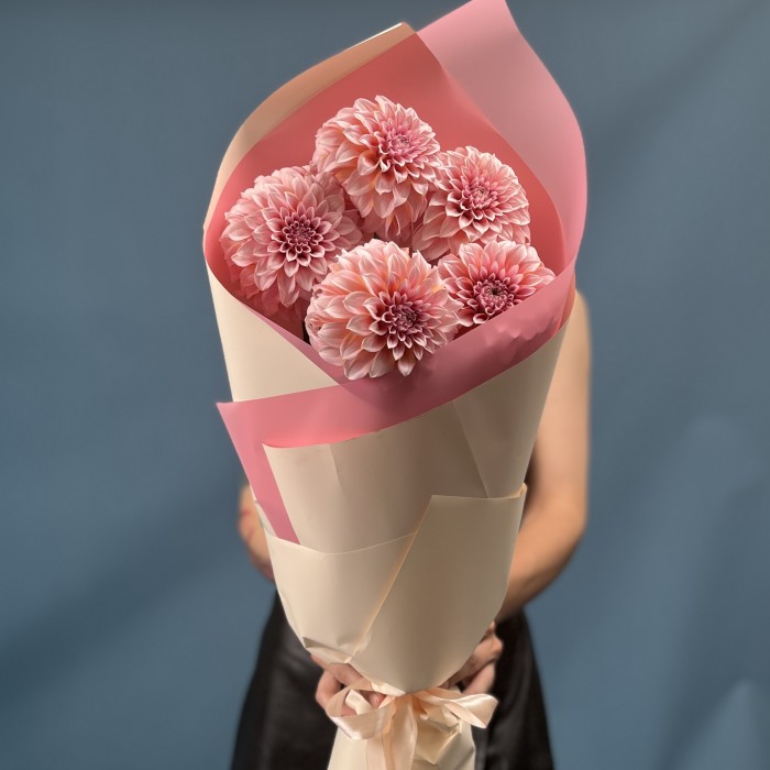 5 лососевых Георгин