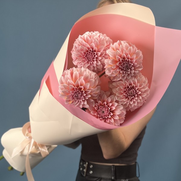 5 лососевых Георгин