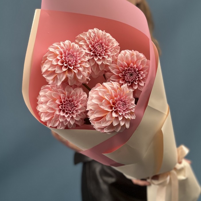 5 лососевых Георгин