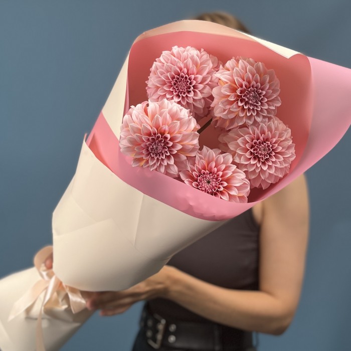 5 лососевых Георгин