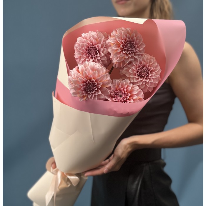 5 лососевых Георгин