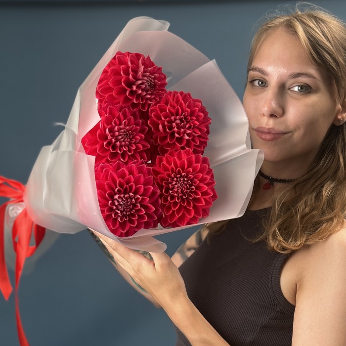 5 пышных красных георгин