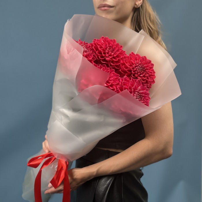 5 пышных красных георгин