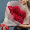 5 пышных красных георгин