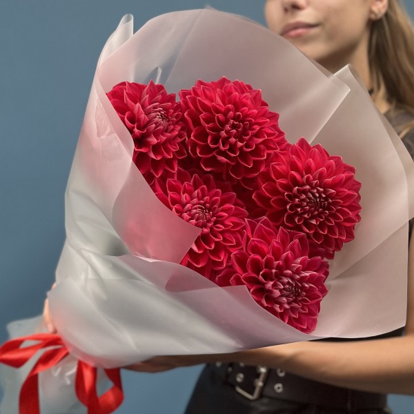 5 пышных красных георгин