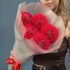 5 пышных красных георгин