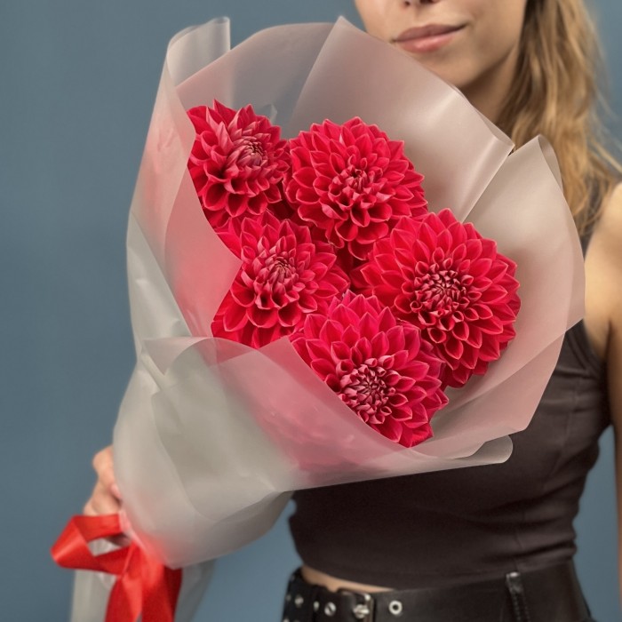 5 пышных красных георгин