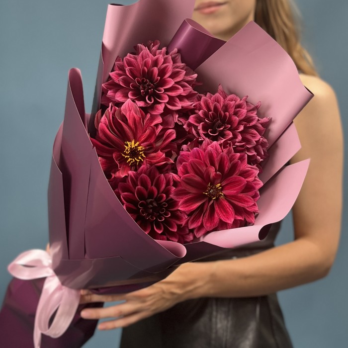 5 темно-фиолетовых георгин