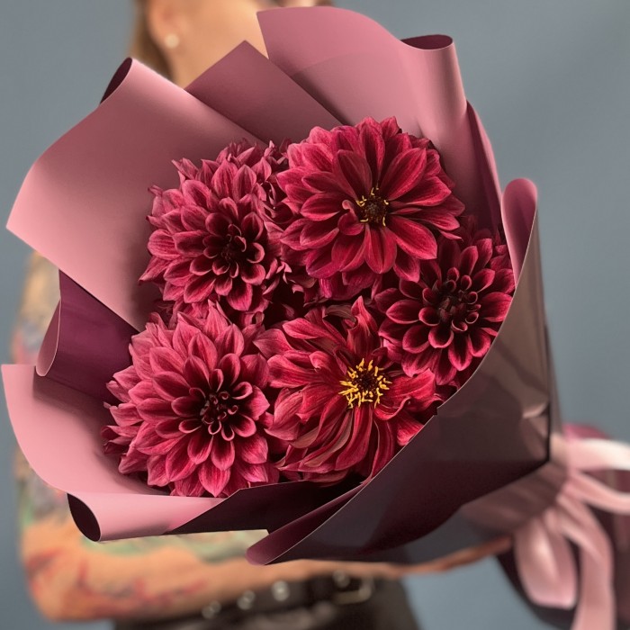 5 темно-фиолетовых георгин